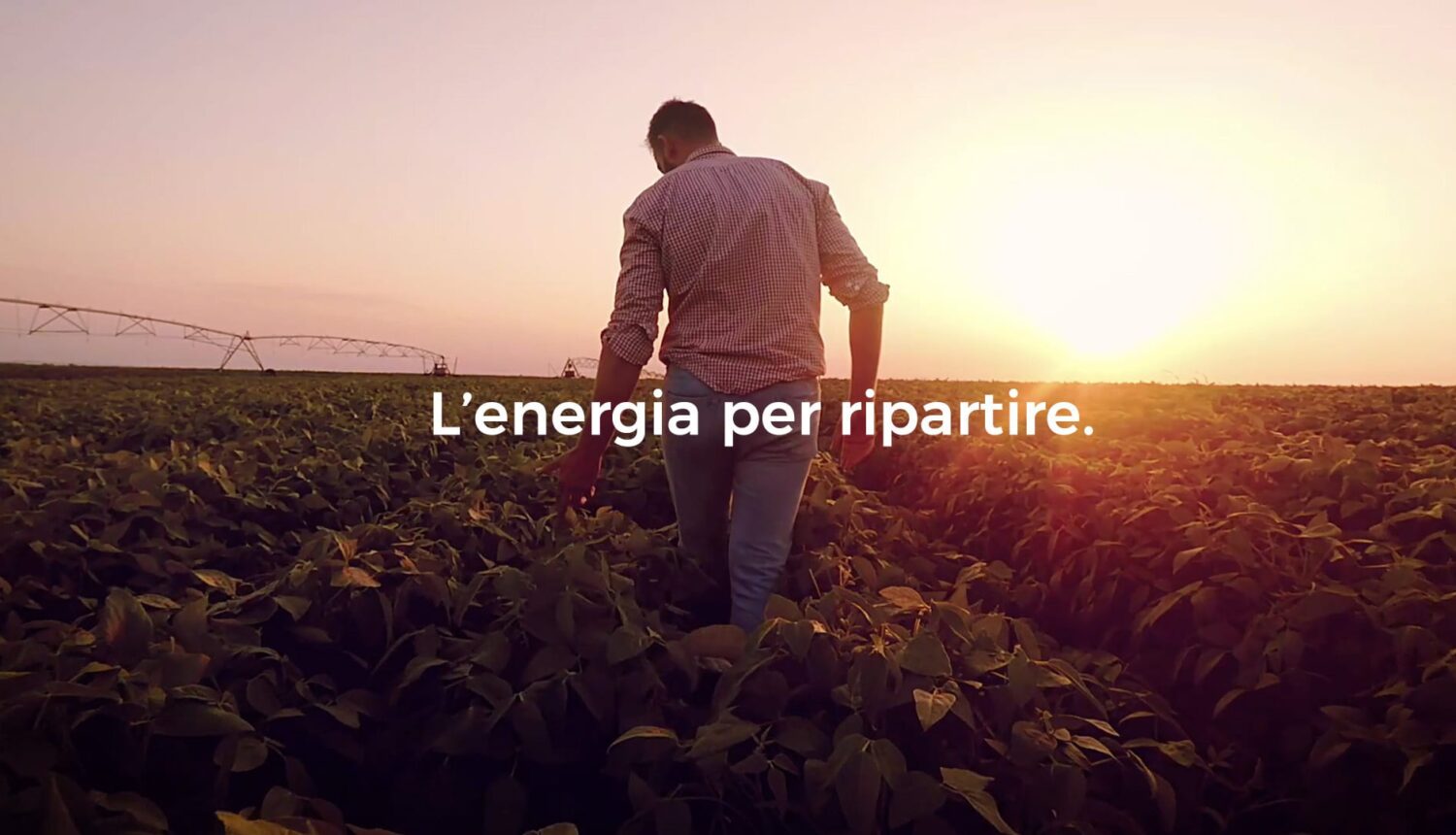 Liquigas, un nuovo progetto con H-FARM Digital Marketing