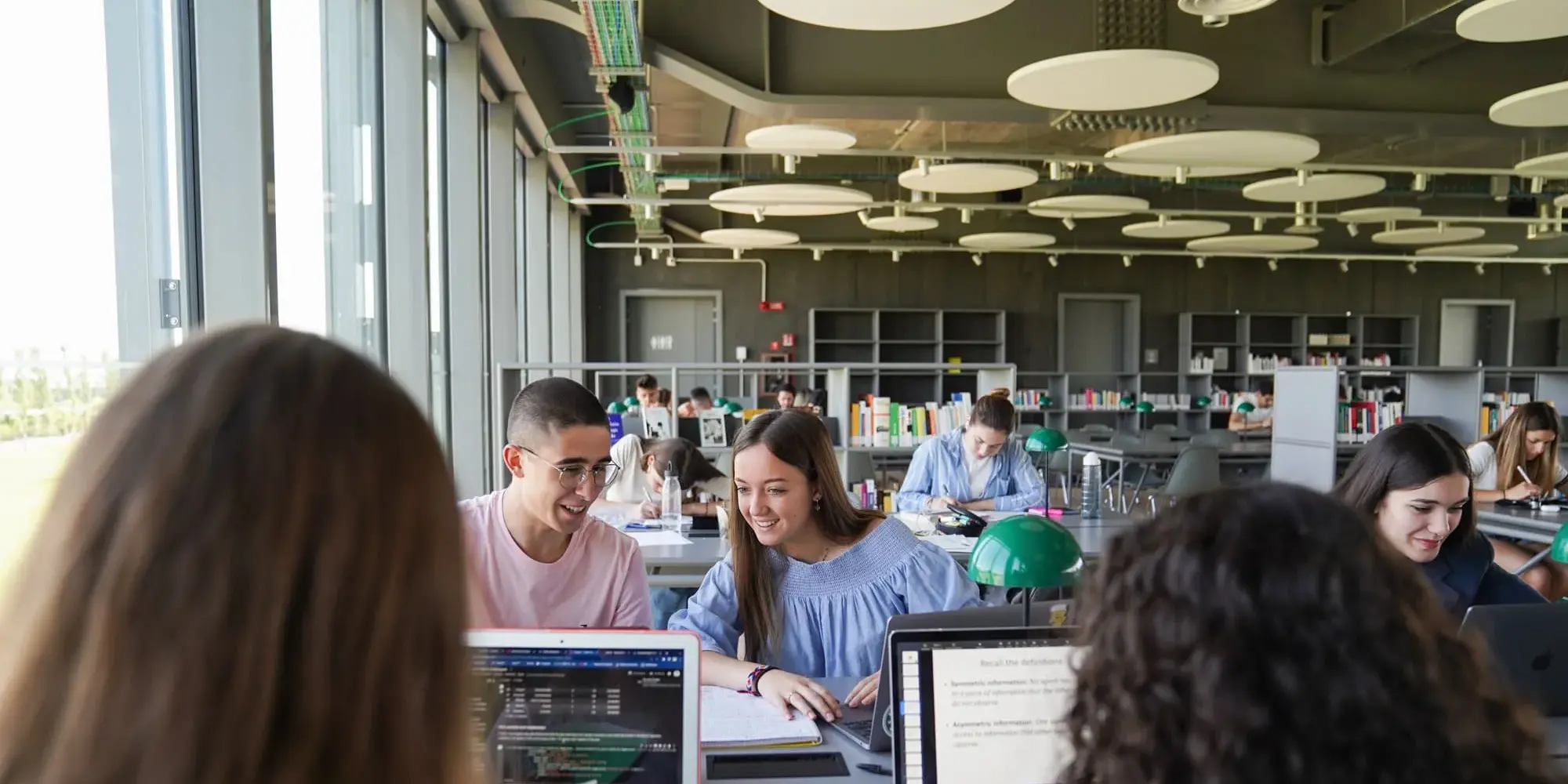 Bachelor's Degree in Information Systems Management