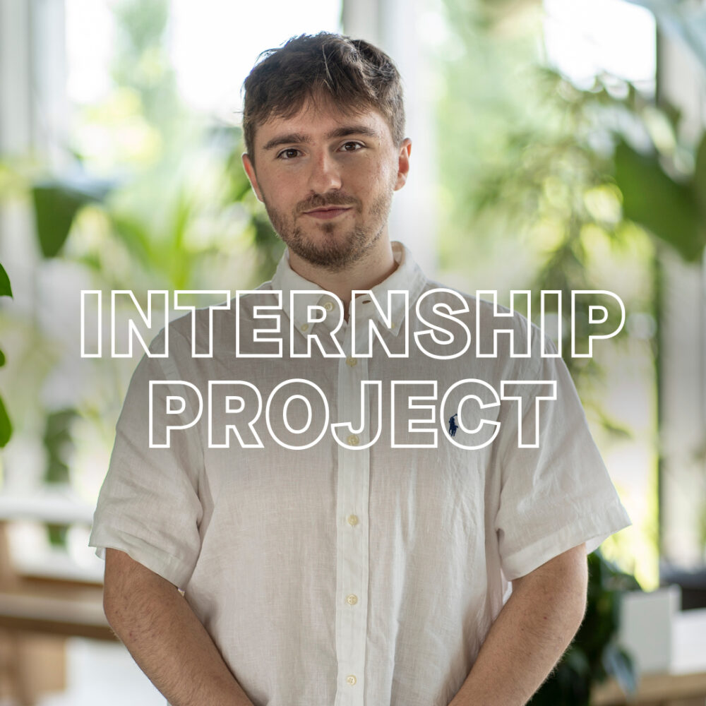 Internship project – Marco's story 