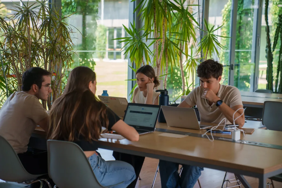 Lumina summer school h-farm college