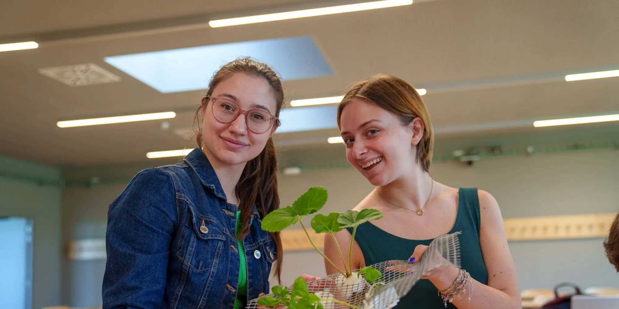 Magica summer programme h-farm college