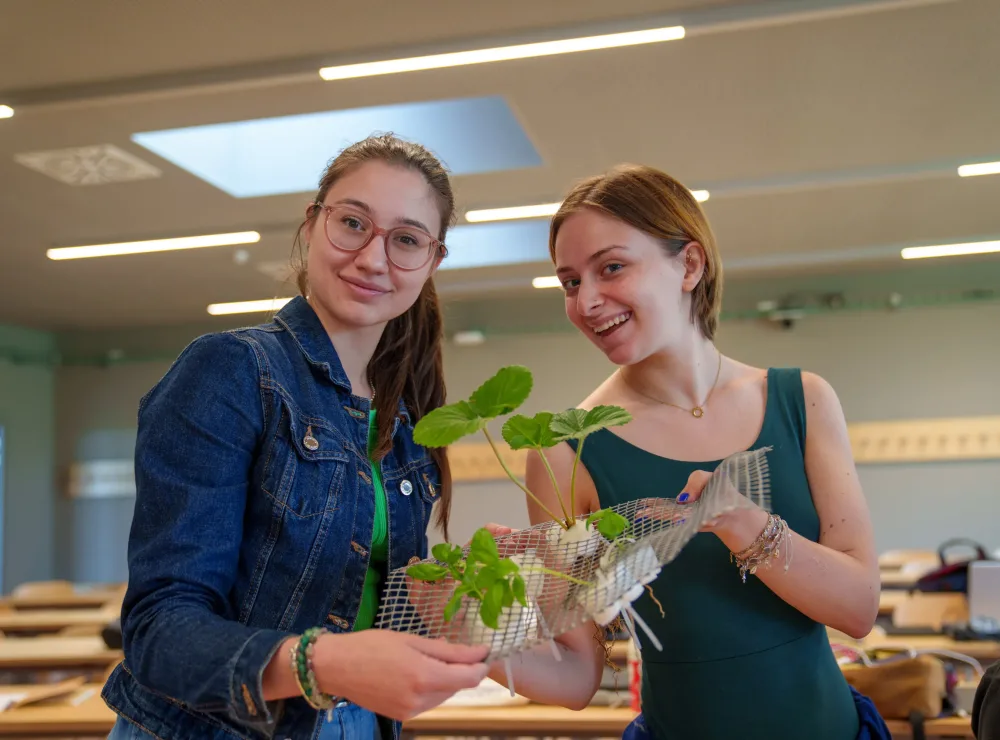 Sustainability Management