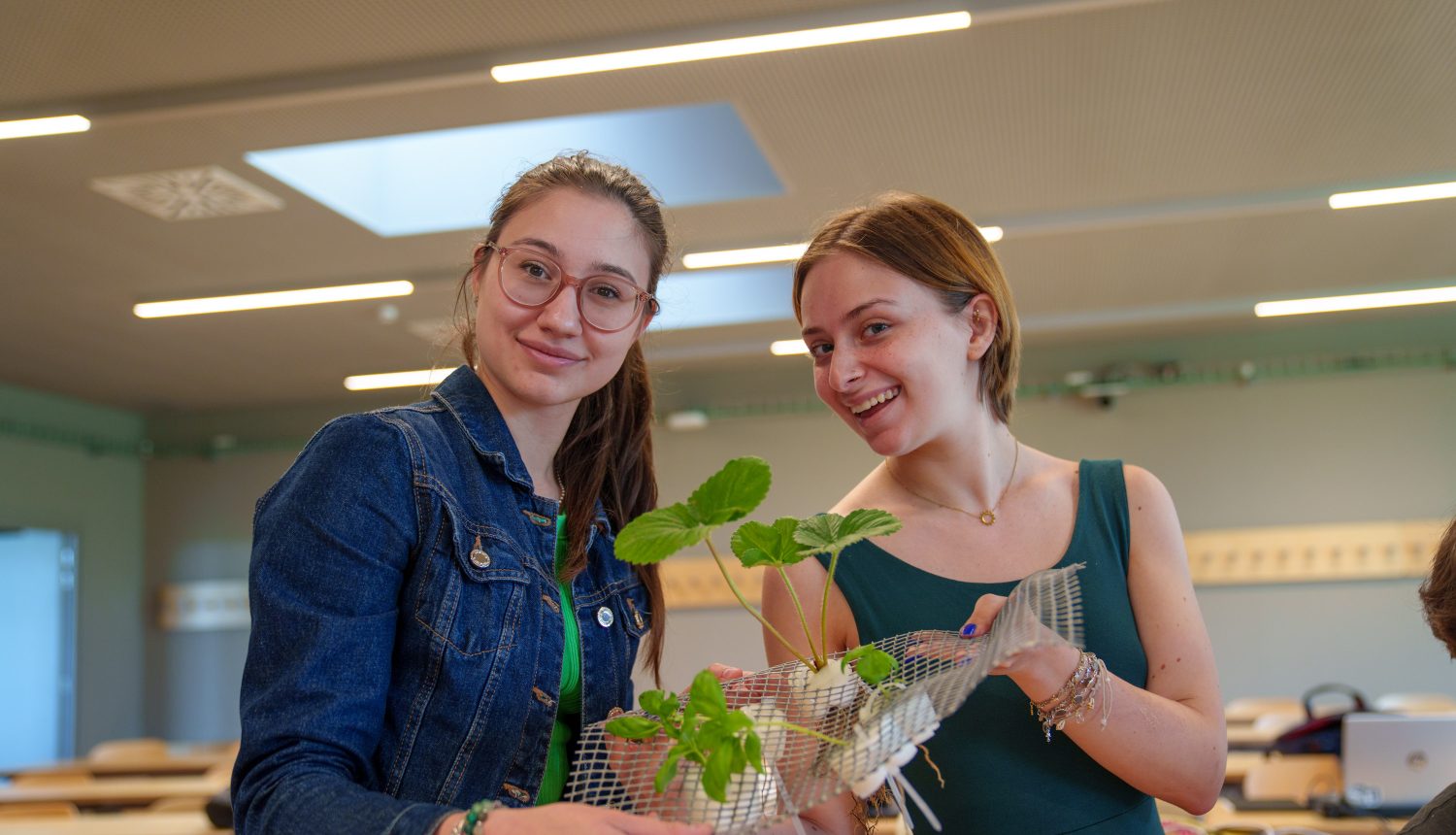 Lavorare nel Sustainability Management