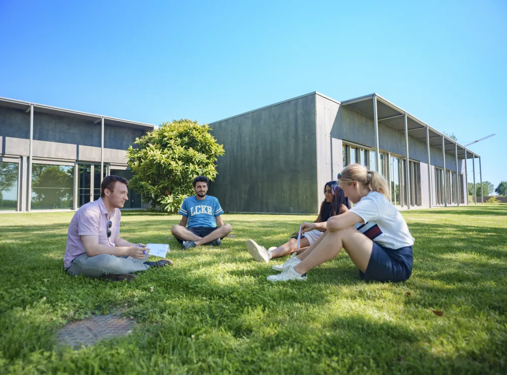 lavorare sostenibilità oggi