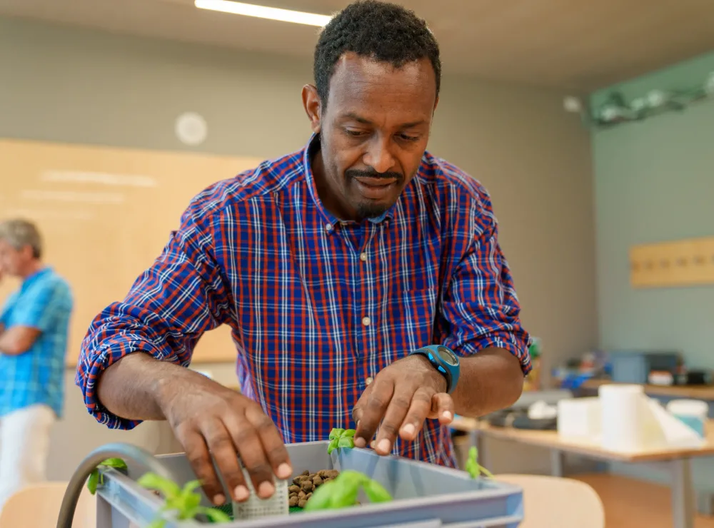 studiare sostenibilità