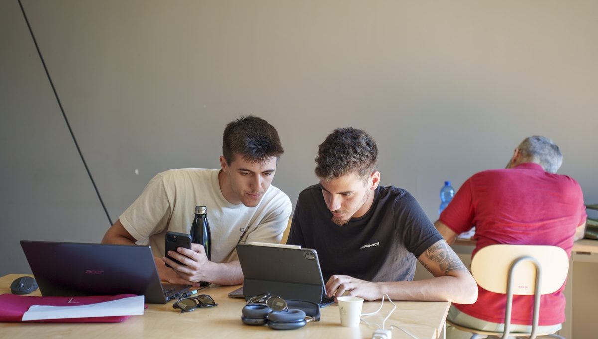 University programs: applications open for the academic year 2024/25