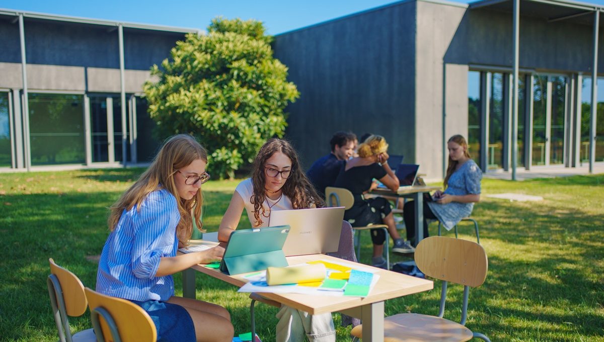 University programs: applications open for the academic year 2024/25