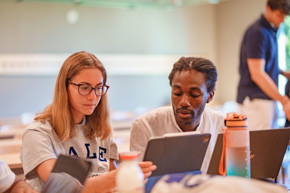 Bachelor's degrees in partnership con l'Università di Chichester