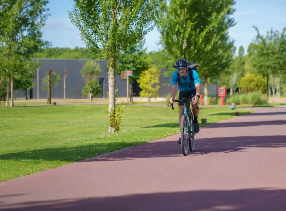 Experience the Giro d’Italia with H-FARM College